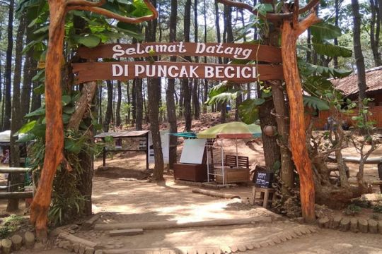 Hutan Pinus Mangunan