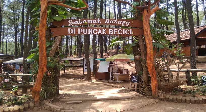 Hutan Pinus Mangunan